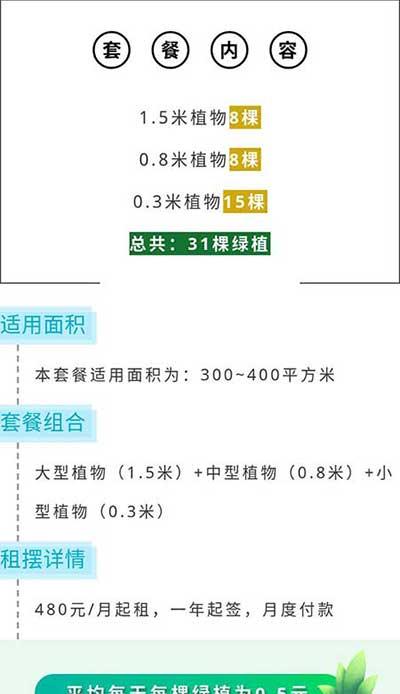 绿植盆栽租摆