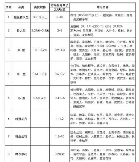 花卉租摆价格一览表