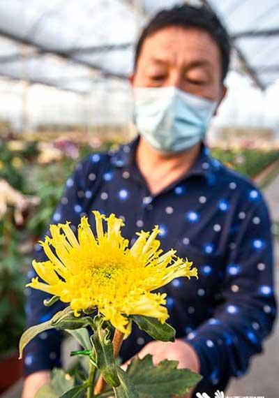 花卉培育基地